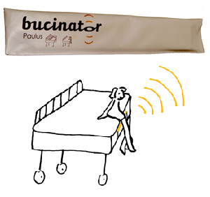 Bucinator paulus discesa letto